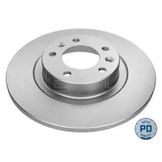 Торм.диск зад.(290x12) 5 отв. /PLATINUM DISC/ фото