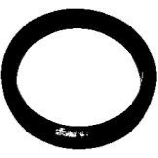 Кольцо (двигатель) Elring 390.030 фото