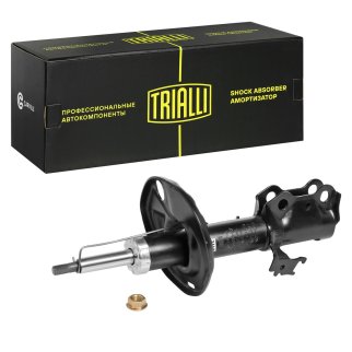 Амортизатор передний TRIALLI AG 19353 фото