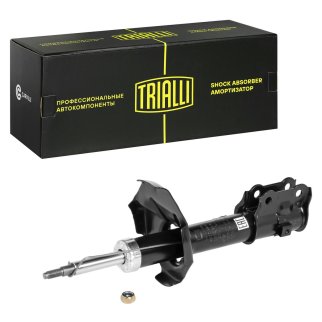 Амортизатор передний TRIALLI AG 08189 фото