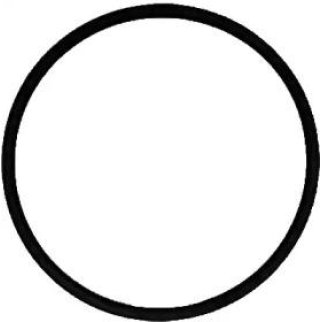 Прокладка впускного коллектора Victor Reinz 71-39303-00 фото