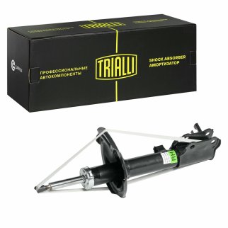 Амортизатор задний правый TRIALLI AG 08402 фото