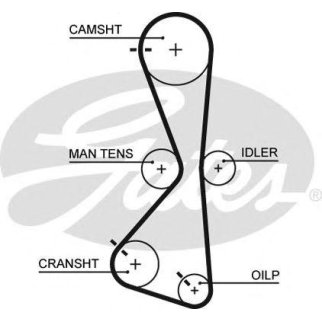 Ремень ГРМ GATES 5609XS фото