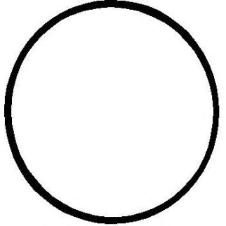 Кольцо уплотнительное (двигатель) Elring 088.056 фото