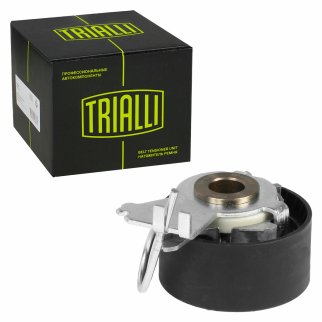 Ролик ГРМ TRIALLI CM 5223 фото 2