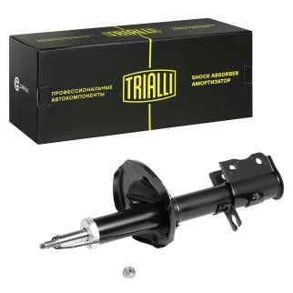 Амортизатор задний правый TRIALLI AG 08407 фото