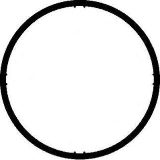 Прокладка впускного коллектора CORTECO 026269H фото