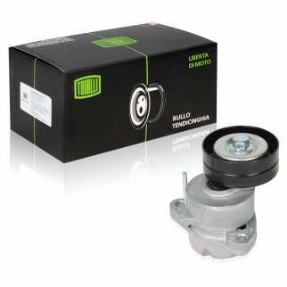 Натяжитель ремня TRIALLI CM0503 фото 2