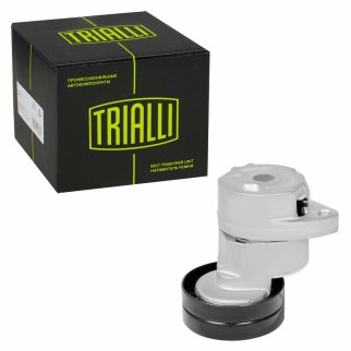 Натяжитель ремня TRIALLI CM0503 фото