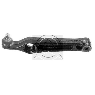 Рычаг передний SIDEM 9873 фото