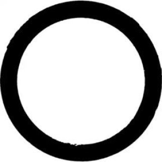 Прокладка выпускного коллектора Victor Reinz 71-10306-00 фото