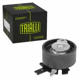 Ролик ГРМ TRIALLI CM 6106 фото