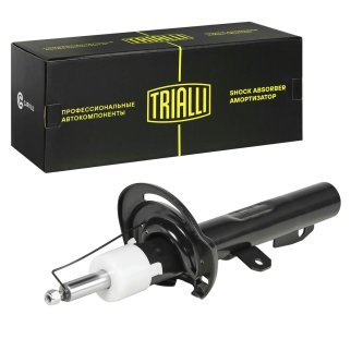 Амортизатор передний TRIALLI AG 10069 фото