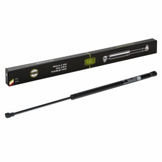 Газовый упор багажника TRIALLI GS 2008 фото