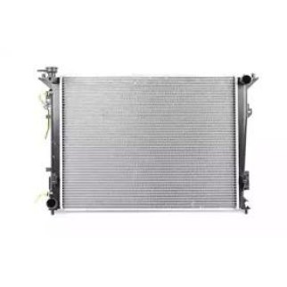 Радиатор основной BSG BSG 40-520-018 фото