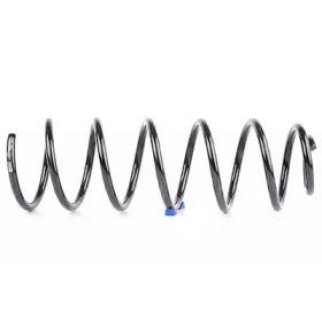 Пружина задняя BSG BSG 65-305-007 фото