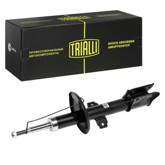 Амортизатор передний TRIALLI AG 09053 фото