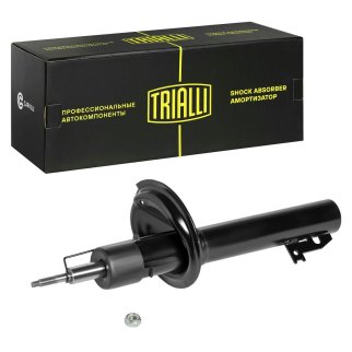 Амортизатор передний TRIALLI AG 10064 фото