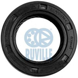 САЛЬНИК фото