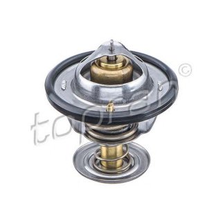 Термостат (с прокл.) (82 C) фото