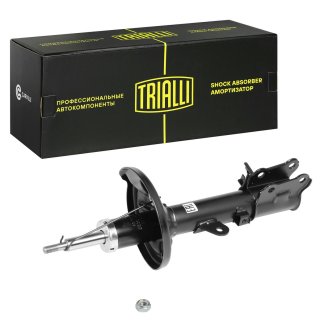 Амортизатор задний TRIALLI AG 08412 фото