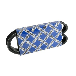 96-00860-SX_ремень поликлиновой! 6PK860 ZIL фото