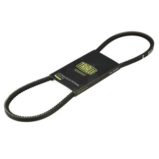 Ремень клиновой TRIALLI AVX 10X944 фото