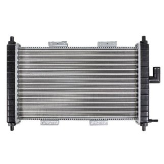 Радиатор основной TERMAL 341646JP фото