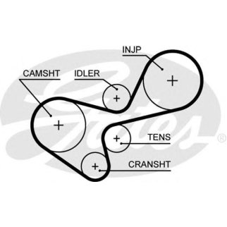 Ремень ГРМ GATES 5639XS фото