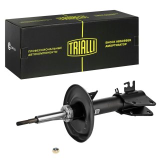 Амортизатор передний TRIALLI AG 09061 фото