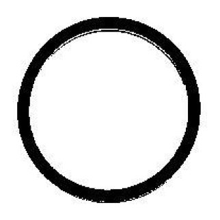 Прокладка впускного коллектора Elring 915.769 фото