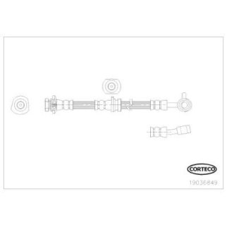 Шланг тормозной CORTECO 19036849 фото