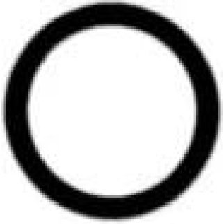 Прокладка впускного коллектора LCV фото