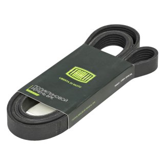 Ремень ручейковый TRIALLI 6PK2138 фото