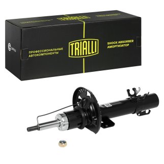 Амортизатор передний TRIALLI AG 18058 фото