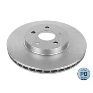 Торм.диск пер.вент.(300x24) 5 отв. /PLATINUM DISC/ фото