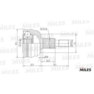 ШРУС наружный MILES GA20022 фото
