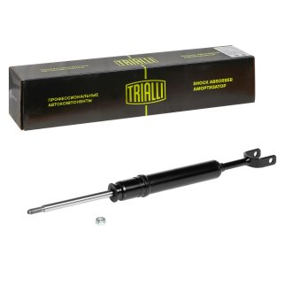 Амортизатор передний TRIALLI AG 18055 фото