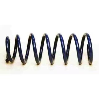 Пружина задняя TORQUE TS5031 фото