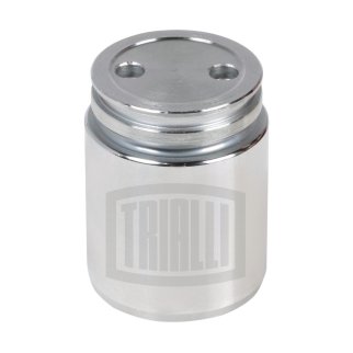 Поршень суппорта для а/м Ford/Mazda/Opel/Renault/SAAB/Volvo зад. d=38мм ATE (RCF 102064) фото