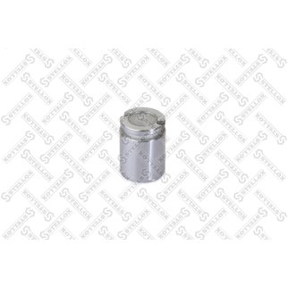 04-98305-SX_поршень суппорта!d38 Lucas Alfa, Audi, Fiat, Ford, Peugeot, Seat, VW фото