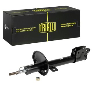Амортизатор задний TRIALLI AG 09522 фото