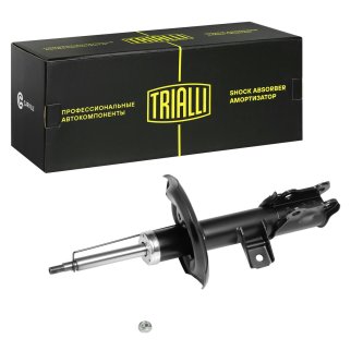 Амортизатор передний TRIALLI AG 08370 фото