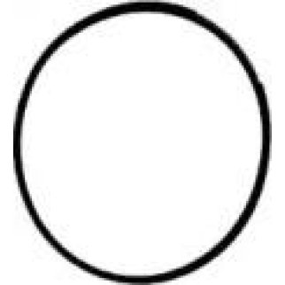 Прокладка впускного коллектора Victor Reinz 40-77535-00 фото