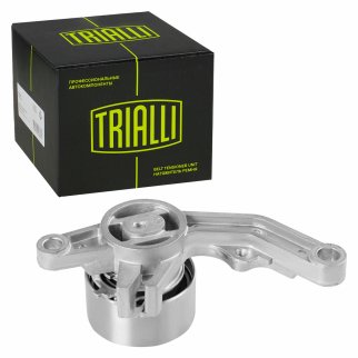 Ролик ГРМ TRIALLI CM 102 фото 2