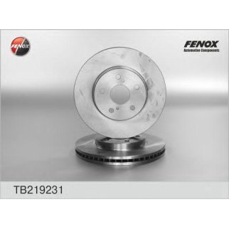 Диск тормозной передний Fenox TB219231 фото