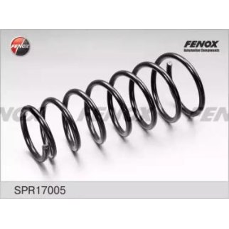 Пружина задняя Fenox SPR17005 фото
