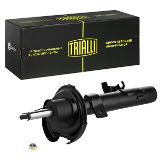 Амортизатор передний TRIALLI AG 10173 фото