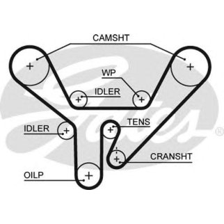 Ремень ГРМ Audi 100/A6/A8/V8 фото