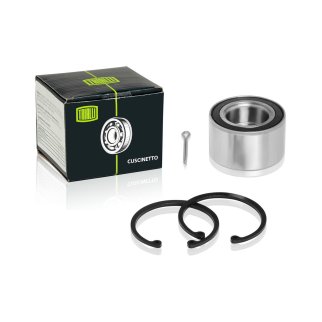 Подшипник ступицы для а/м Chevrolet Aveo (02-) R-13 перед. (кмпл: подшип./кольцо/шплинт) (CS 0576) фото